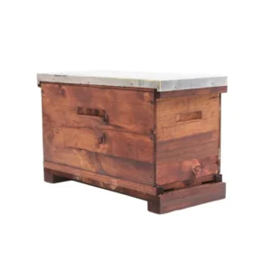 Bee Catcher Box