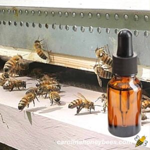 Bee Lemon Grass Oil