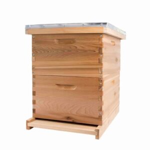 Imported Langstroth Hive